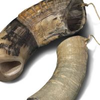 Clapper of cow horn