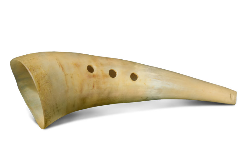 Cow on sale horn instrument