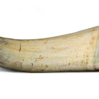 Vessel rattle of cow horn