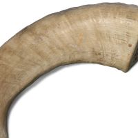 Vessel rattle of cow horn