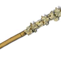 Bone rattle stick