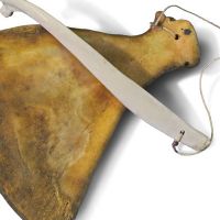 Percussion sound tool of animal shoulderblade