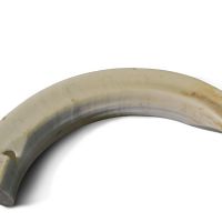 11-Whistle-of-boar-tusk