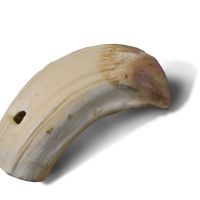 Whistle of boar's tusk